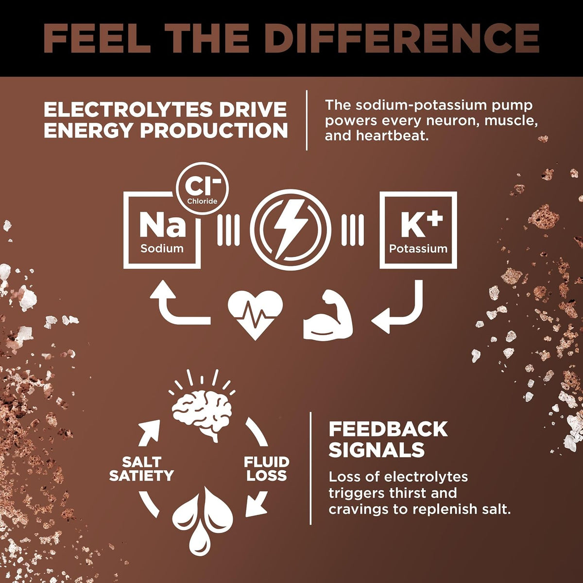 LMNT Zero Sugar Electrolytes – Chocolate Salt | Drink Mix | 30 Sticks